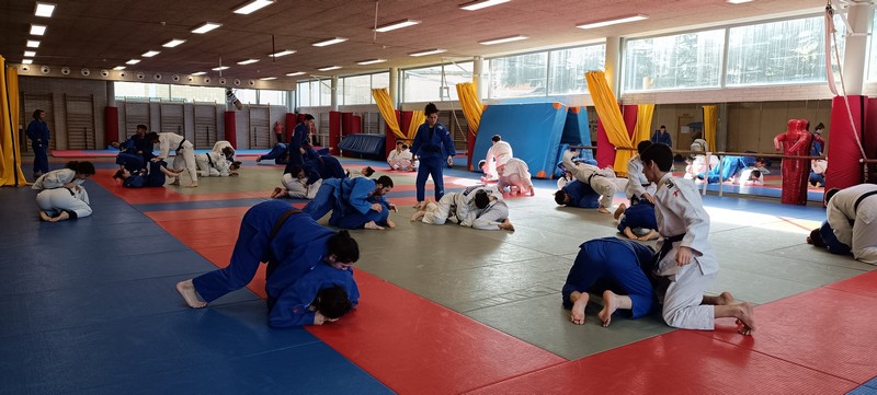 Todo un exito el Stage de Judo Pamplona con Alberto Gaitero y Estrella Lopez. 02-04-24. FOTOS.
